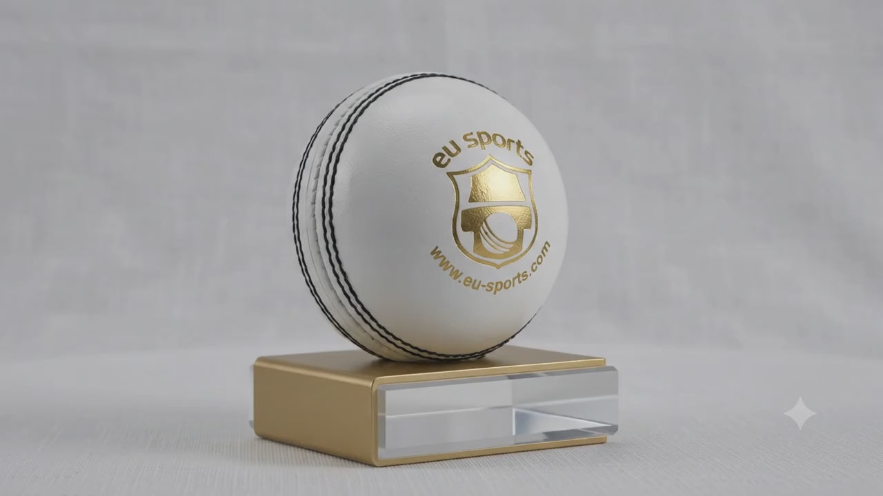 White Test cricket ball EU Sports Alum tanned capacity 50 over Pack of 12 balls
