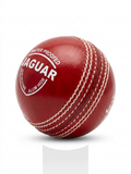 Cricket leather ball JAGUAR, water proof, 1 pack- 6 balls