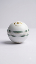 White test cricket ball Alum tanned capacity 30 overs, pack of 6 balls